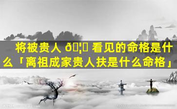 将被贵人 🦆 看见的命格是什么「离祖成家贵人扶是什么命格」